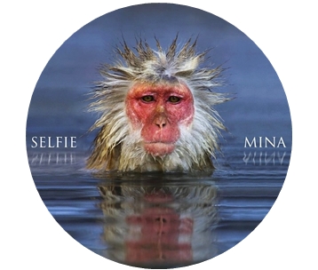 mina-selfie-2014 copertina