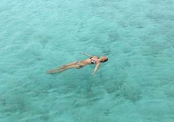 bar-refaeli